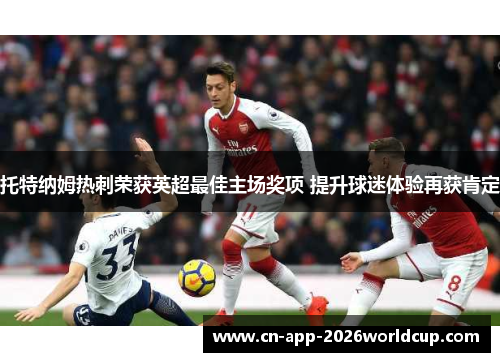 托特纳姆热刺荣获英超最佳主场奖项 提升球迷体验再获肯定