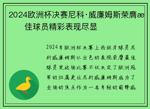 2024欧洲杯决赛尼科·威廉姆斯荣膺最佳球员精彩表现尽显